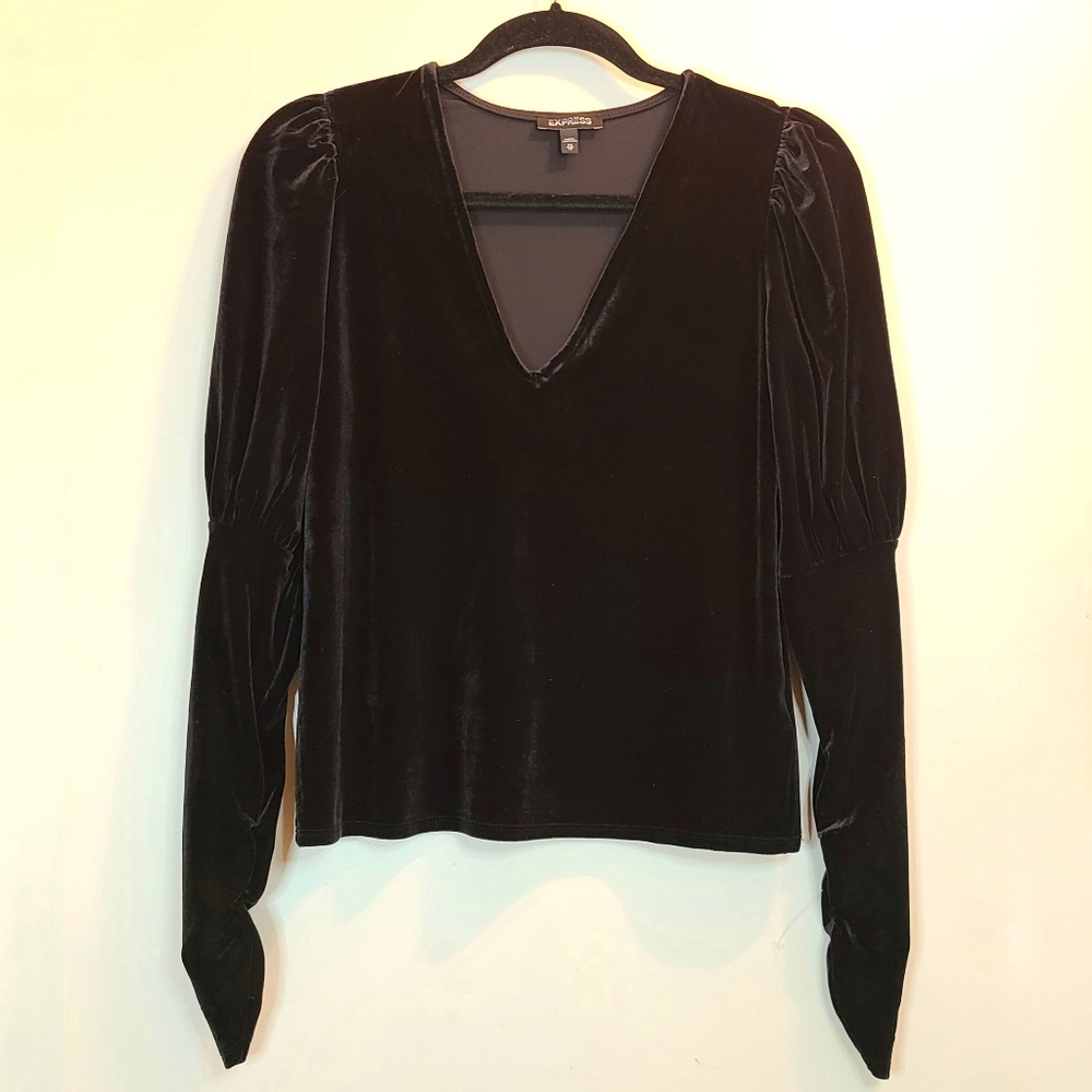 Express Velour V-Neck Puffed Rouched Sleeves Top